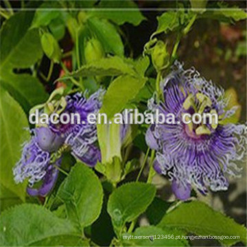 flavona de passiflora 3% a 20%